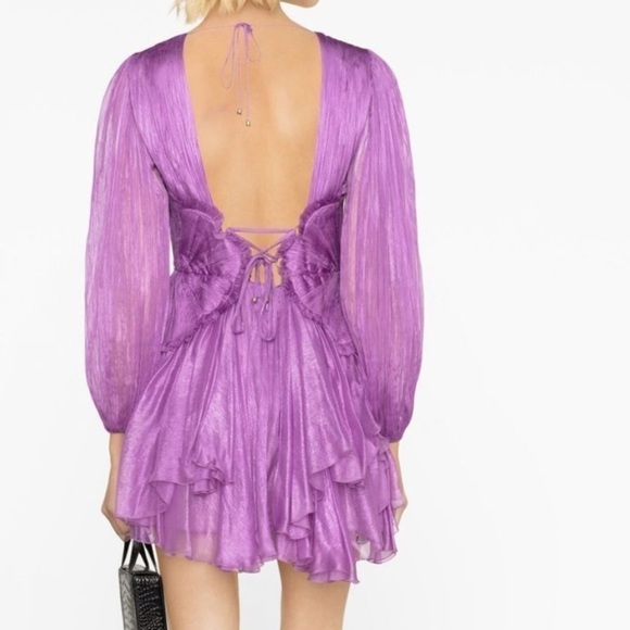 NWT Maria Lucia Hohan Alara Ruffled Minidress - Picture 3 of 16